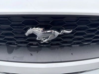 2022 Ford Mustang EcoBoost