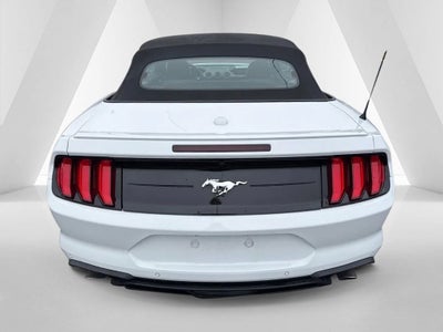2022 Ford Mustang EcoBoost
